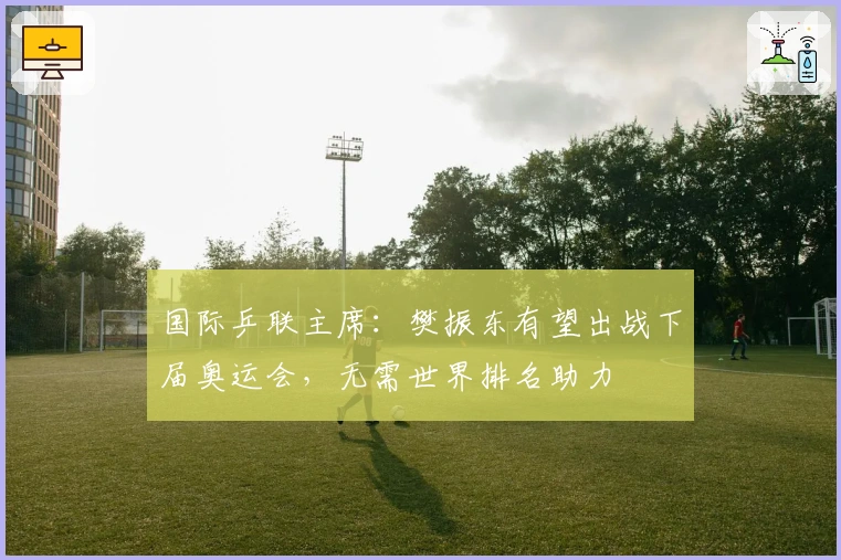 国际乒联主席：樊振东有望出战下届奥运会，无需世界排名助力