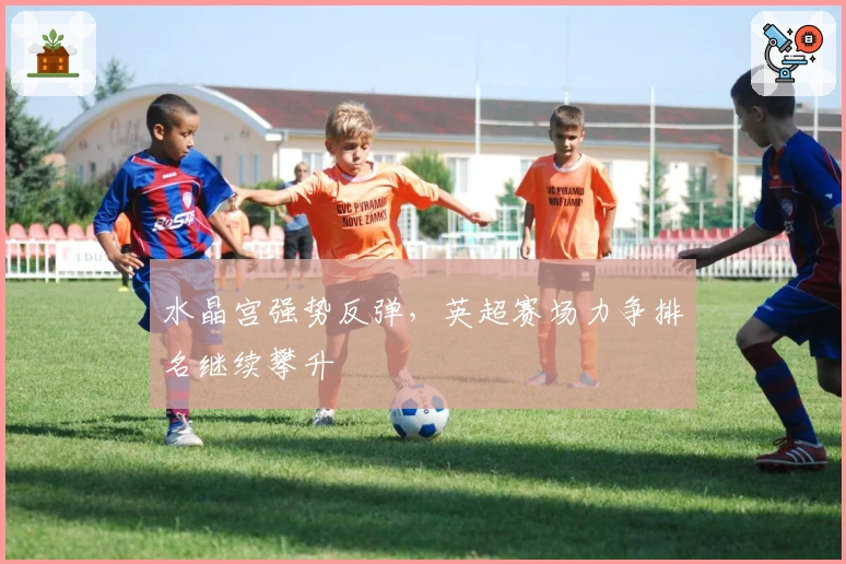 水晶宫强势反弹，英超赛场力争排名继续攀升