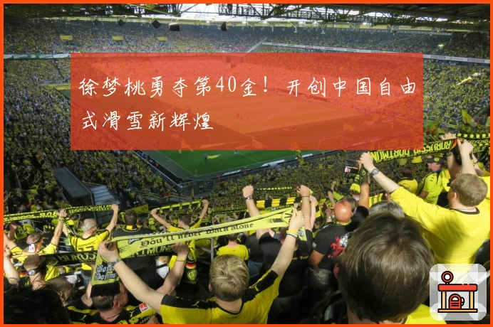 徐梦桃勇夺第40金！开创中国自由式滑雪新辉煌